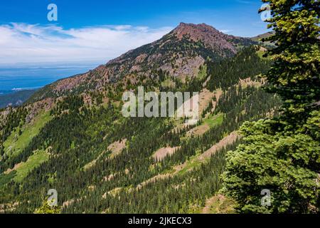 Wildblumen und wunderschöne Aussichten entlang des Trail von der Straße von „The Rideines“. Stockfoto