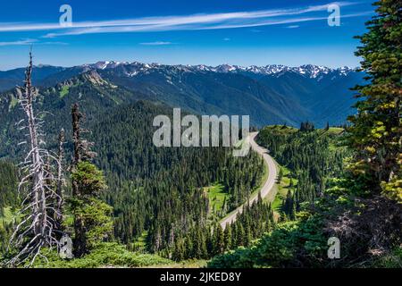 Wildblumen und wunderschöne Aussichten entlang des Trail von der Straße von „The Rideines“. Stockfoto