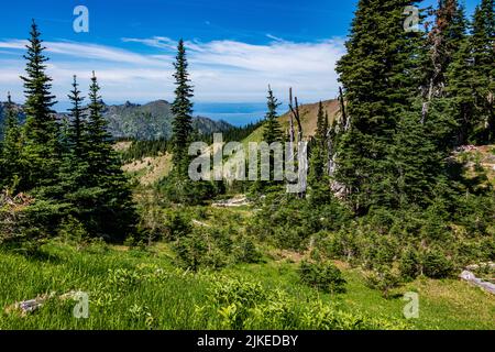 Wildblumen und wunderschöne Aussichten entlang des Trail von der Straße von „The Rideines“. Stockfoto