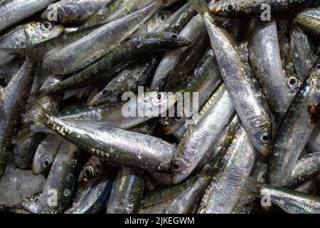 Nahaufnahme eines frischen Stapels frisch gefangener Sardinen auf dem Markt Stockfoto