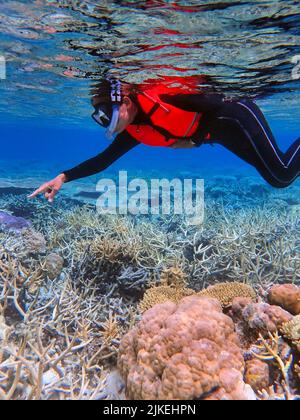 Indonesia Anambas Islands - Frauen schnorcheln im Korallenriff Stockfoto