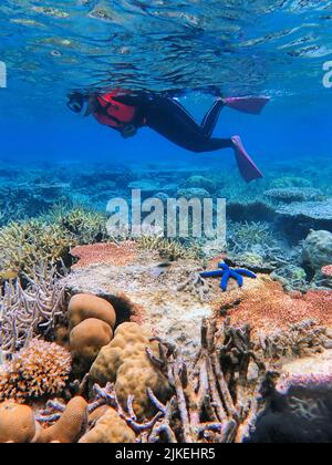 Indonesia Anambas Islands - Frauen schnorcheln im Korallenriff Stockfoto