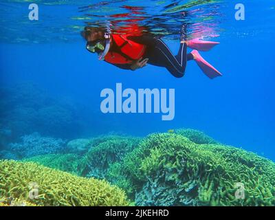 Indonesia Anambas Islands - Frauen schnorcheln im Korallenriff Stockfoto