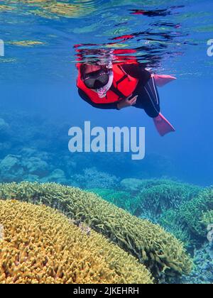 Indonesia Anambas Islands - Frauen schnorcheln im Korallenriff Stockfoto