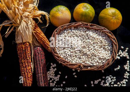 Mais (Mais), Tepary Beans und Squash sind traditionelle Lebensmittel vieler Südweststämme in Arizona, Kalifornien und New Mexico Stockfoto