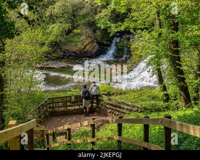 08. April 2022: Aysgarth Falls, North Yorkshire - Junges Paar auf der Aussichtsplattform bei Middle Force, Aysgarth Falls. Stockfoto