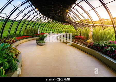 Im Inneren der Frans Krajcberg Galerie im Botanischen Garten von Curitiba, Brasilien Stockfoto