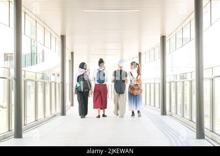 Gruppe von multirassischen College-Studenten Freunde, die zusammen in der Halle gehen. Rückansicht. Stockfoto