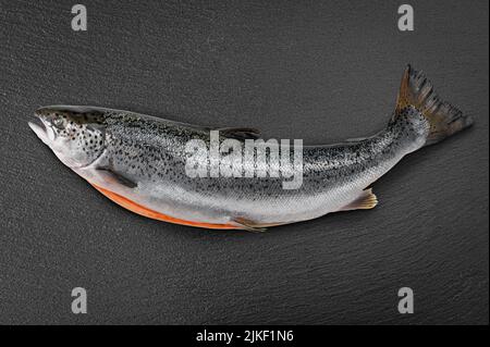 Frischer roher Lachs, roter Fisch auf schwarzem Schieferstein-Hintergrund. Kreatives Layout aus Fisch, Draufsicht. Frischer roher Lachs, roter Fisch. Schlachtkörper von atlantic Sal Stockfoto