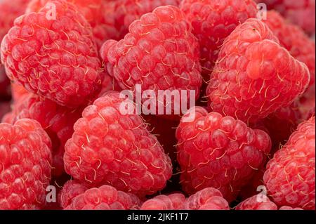 Frischer und süßer Himbeeren Hintergrund. Frische, reife Himbeere aus biologischem Anbau. Strauß rote rosa Himbeeren. Draufsicht Stockfoto