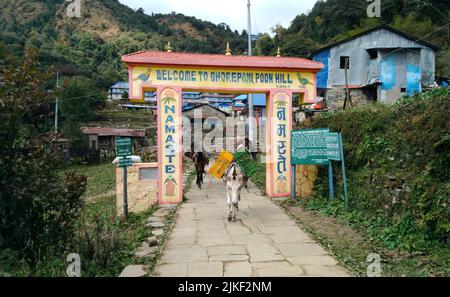 Chomrong, Nepal - 08. November 2017 : Auf Dem Weg Zum Annapurna Basislager Nepal Stockfoto