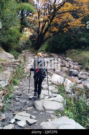 Chomrong, Nepal - 08. November 2017 : Auf Dem Weg Zum Annapurna Basislager Nepal Stockfoto