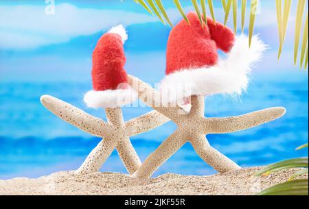 Zwei weiße Seesterne mit rotem Weihnachtsmann-Hut am Sandstrand hinter Meer und Palmen. Konzept von Weihnachten, Neujahr in warmen Ländern Stockfoto