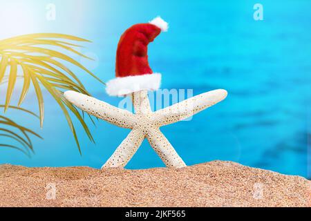 Weißer Seestern mit Weihnachtsmann-Hut und Strand mit Meer und Palmen. Konzept von Weihnachten, Neujahr in heißen Ländern. Speicherplatz kopieren Stockfoto