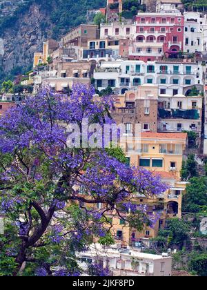 Typische Klippenhäuser in Positano, Amalfiküste, UNESCO-Weltkulturerbe, Kampanien, Italien, Mittelmeer, Europa Stockfoto