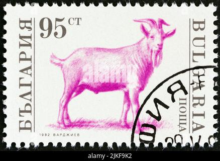 BULGARIEN - UM 1992: Ein in Bulgarien gedruckter Stempel aus der Ausgabe 'Farm Animals' zeigt die Ziegenbock (Capra aegagrus hircus) aus der Zeit um 1992. Stockfoto