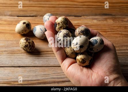 Männliche Hand hält ein Wachtelei auf einem hölzernen Hintergrund. Nahaufnahme. Stockfoto