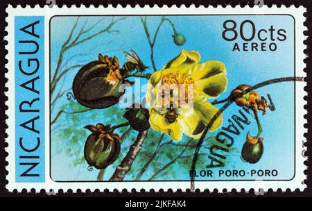 NICARAGUA - UM 1979: Eine in Nicaragua gedruckte Marke aus der 'Blumen'-Ausgabe zeigt Poro poro, um 1979. Stockfoto