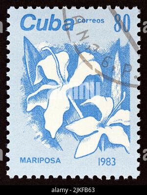 KUBA - UM 1983: Eine in Kuba gedruckte Marke aus der 'Blumen'-Ausgabe zeigt Schmetterling Jasmin (Mariposa), um 1983. Stockfoto