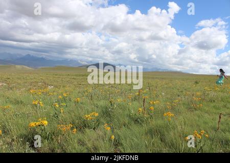 Deosai-Ebenen.Pakistan Stockfoto