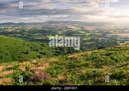 Ein Spätsommerblick vom Weacombe Hill in den Quantock Hills über das Dorf Bichnoller und die Brendon Hills Beyond, Somerset, England. Stockfoto