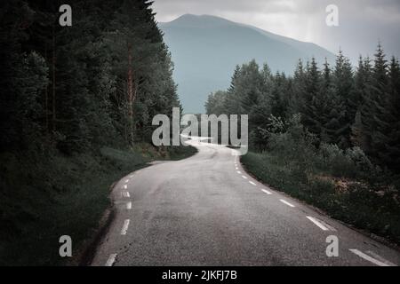 Landschaftlich reizvolle, gewundene Straße, die durch wilde Wälder in Norwegen führt Stockfoto