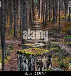 Die Überreste der Küstenverteidigung von Moray verlaufen durch den Lossie Forest, wo Sie immer noch Beweise für die Vielfalt der errichteten Verteidigungsanlagen finden können: Eine Unbr Stockfoto