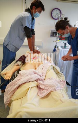 Anästhesiologische Studenten während einer Reanimationsübung in einer kritischen Situation an der medizinischen Fakultät von Nimes. Die Schüler trainieren auf einem Roboter-Dummy SIM man 3 G. Stockfoto