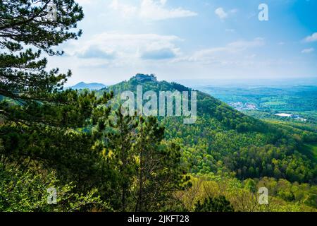 Deutschland, Burgruine Hohenneuffen auf bewaldeten Berggipfeln in Naturlandschaft im Sommer mit Sonne, Panoramablick über Baumkronen Stockfoto