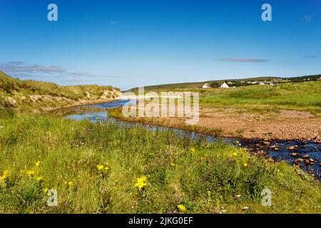 GROSSER SANDSTRAND GAIRLOCH SCHOTTLAND DER FLUSSSAND FLIESST AN BLÜHENDEN DÜNEN IN DER NÄHE DES STRANDES VORBEI Stockfoto