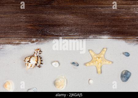 Muscheln und Sand auf dunklen Holzbrettern. Meereskonzept. Selektiver Fokus auf Muscheln und Sand. Platz für eine Inschrift. Blick von oben. Stockfoto