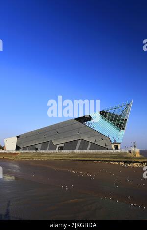 The Deep Aquarium, Kingston-upon-Hull, East Riding of Yorkshire, Humberside, England, Großbritannien Stockfoto