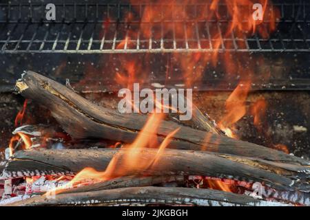 Vorbereitung Feuer zu BBQ in Flamme des Feuers von brennender Holzkohle Log ein Lagerfeuer Stockfoto