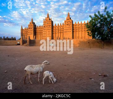 Große Moschee von Djenné im frühen Morgenlicht, Mali. Das UNESCO-Weltkulturerbe ist eines der einzigartigsten religiösen Gebäude der Welt. Stockfoto