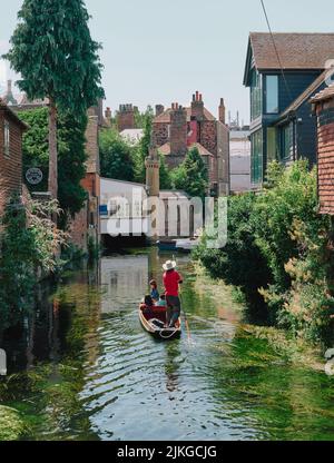 Sommertouristen besuchen eine Punt-Bootstour entlang des Flusses Stour durch das Zentrum des alten Canterbury, Kent England, Großbritannien - Tourismus punting summer Stockfoto