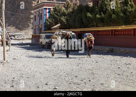 Jomsom, Nepal - 23. November 2016: Drei Träger tragen schwere Lasten. Drei nepalesische Männer, die in der Stadt Jomsom in der Nähe eines Buddhis die Straße entlang gehen Stockfoto