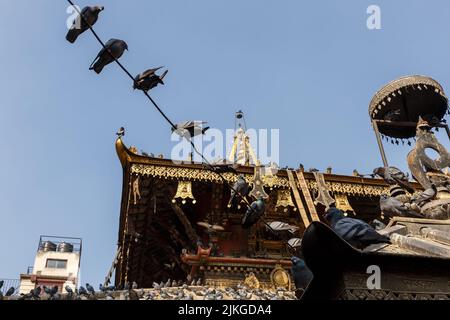 Tauben auf Drähten in der Nähe eines Tempels in Kathmandu. Seto Machhendranath Tempel Stockfoto