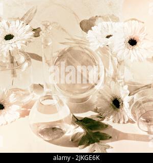 Biophilia Design Hintergrund. Weiße Gerbera, exotische Blätter. Blumen, Gläser aus transparentem Glas, Flaschen, Fläschchen. Reflexionen, verzerrte florale Elemente Stockfoto