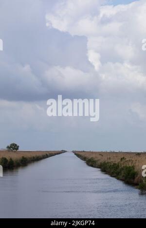 Canal Waterway im Sabine National Wildlife Refuge, einem großen Sumpfschutzgebiet an der Küste, in Cameron Parish, Hackberry, Louisiana, USA Stockfoto