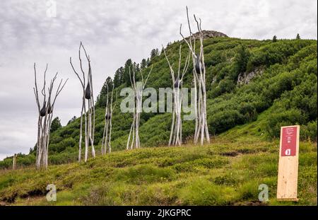 Kunstinstallationen interagieren mit der Natur der Dolomiten, die von der UNESCO zum Weltnaturerbe erklärt wurden - Pampeago-Dolomite Trentino, Italien Stockfoto