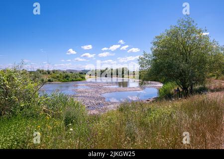 Fluss Mures in Siebenbürgen, Rumänien an einem sonnigen Sommertag. Aufgrund der extremen Dürre ist der Fluss teilweise ausgetrocknet. Stockfoto