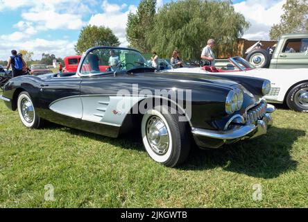 Alte schwarz-weiß Sport Chevrolet Corvette C1 zwei-Türer Cabriolet 1958 auf dem Land. Naturgrasbäume. Klassisches Racing Muscle Car. Copyspace Stockfoto