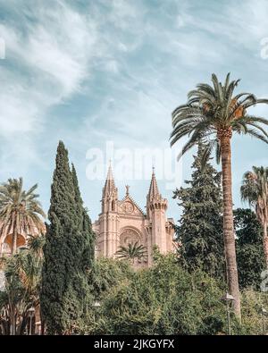 Ein schöner Blick auf die Kathedrale von Santa Maria de Mallorca mit Palmen Stockfoto
