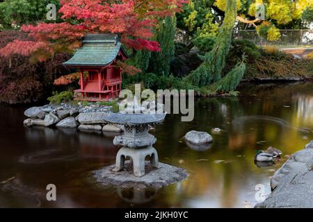 Japanischer Gartenteich mit roter Pagode im Point Defiance Park, Tacoma, WA Stockfoto