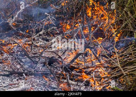 Ein Schuss brennender Holzstücke und Äste Stockfoto