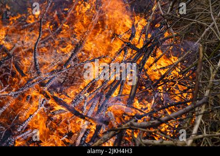 Ein Schuss von Holzstücken und brennenden Ästen Stockfoto