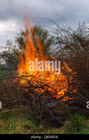 Ein Schuss von Holzstücken und Ästen, die im Wald brennen Stockfoto