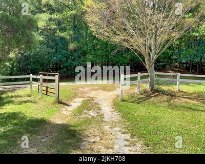 Ein unbefestigter Pfad, der durch einen eingezäunten Zaun im ländlichen Alabama führt Stockfoto