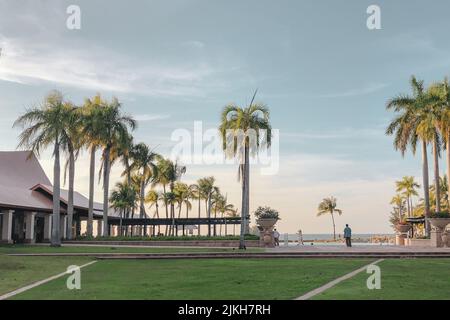 Ein schöner Blick auf einen Palmengarten mit Blick auf das Meer Stockfoto