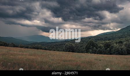 Eine wunderschöne Szene eines Waldes auf dem Bieszczady-Gebirge unter einem wolkigen Himmel in Polen, in der Nähe der ukrainischen Grenze Stockfoto